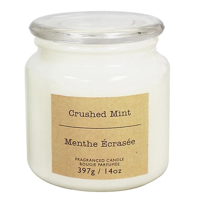 Hometrends 14oz bougie parfumée en pot en menthe écrasée