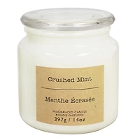 Hometrends 14oz bougie parfumée en pot en menthe écrasée