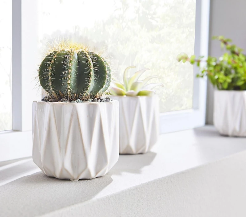 Better Homes & Gardens Céramique Pot à motif géométrique de 12,7 cm-Blanc Pot de fleur