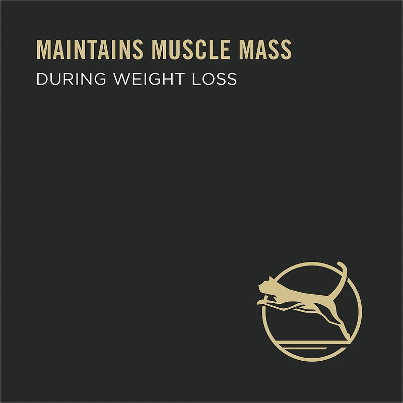 Purina Pro Plan Specialized Weight Management Turkey & Rice Entrée, Wet Cat Food, 85 g