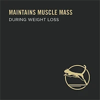 Purina Pro Plan Specialized Weight Management Turkey & Rice Entrée, Wet Cat Food, 85 g