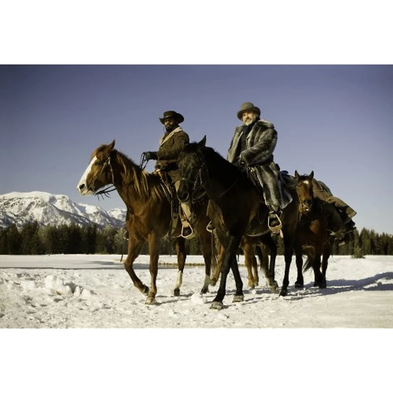 Django Unchained (Blu-ray + DVD + Digital Copy) (Bilingual)