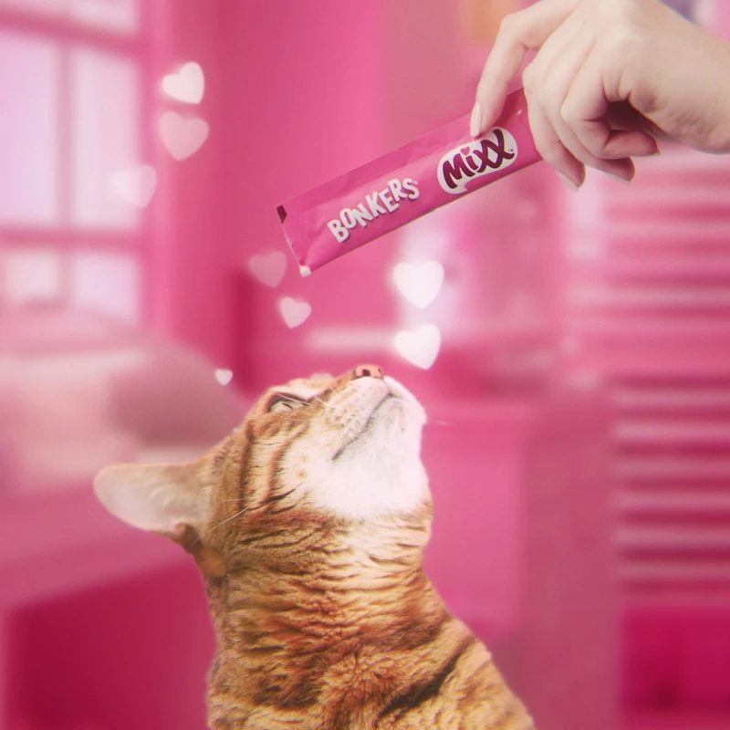 BONKERS™ Licky Tubes™, gâteries crémeuses pour chat à saveur de poulet, 4 tubes Emballage de 4 gâteries à saveur de poulet