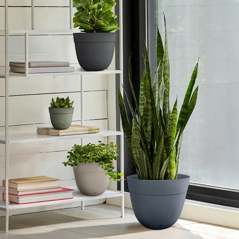 TierraVerde Birch No Lip Indoor-Outdoor Planter Balsam 10"D