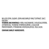 Kellogg's Frosted Flakes Cereal, Family Size, 580 g