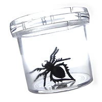 Coghlan's Bug Jar with Magnifier for Kids