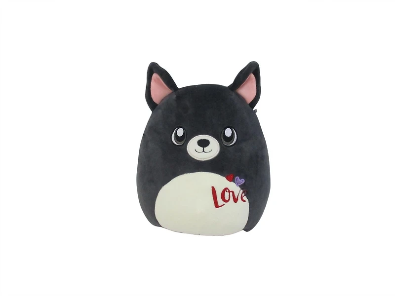 Boston Terrier