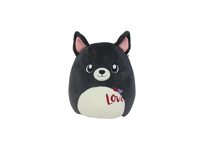 Boston Terrier