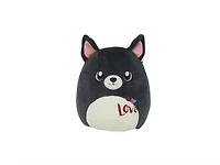Boston Terrier
