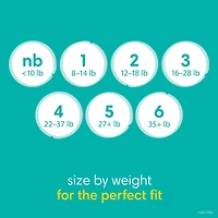 Pampers Baby Dry Diapers, Super Pack, Size NB-6, 120-64 Count