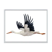 Designart Flying White Stork Ciconia Bird FLOAT FRAME WALL ART