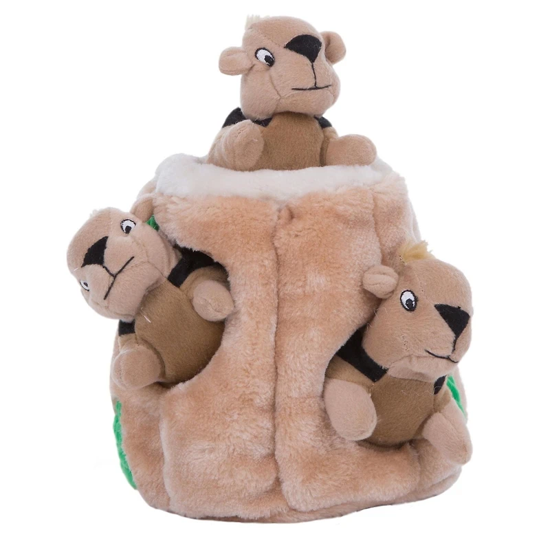 Outward Hound Jouet Pour Chien Casse-Tête Cacher L'Écureuil En Peluche Peluche Engageante