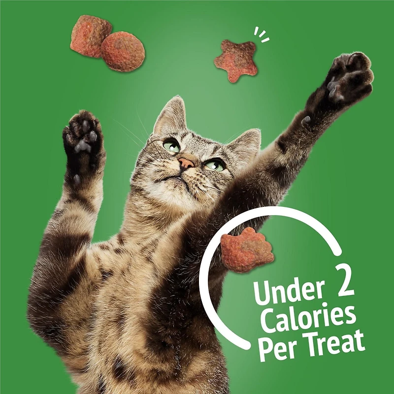 Friskies Party Mix Gravy-licious Turkey & Gravy Crunch, Cat Treats 454g, 454 g