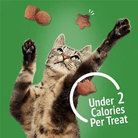 Friskies Party Mix Gravy-licious Turkey & Gravy Crunch, Cat Treats 454g, 454 g