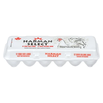 Harman Select gros oeufs blancs