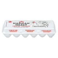 Harman Select gros oeufs blancs