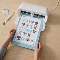 Cricut Printable Waterproof Holographic Sticker Set - US Letter (5 ct), Transparent Holographic
