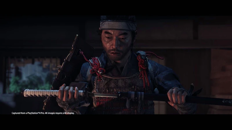Jeu vidéo Ghost of Tsushima pour (PS4)