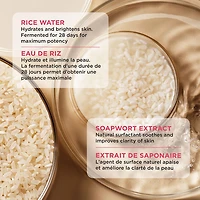 THE FACE SHOP Rice Water Bright Vegan Foaming Cleanser with Ceramide, Sulfate-Free, Clean, Korean Skin Care, Hydrating Daily Cleanser
