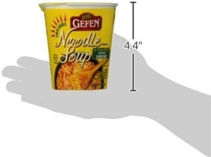 CHICKEN NDL SOUP - FRENCH E-ALTRA SOUPE POULET