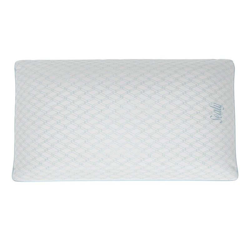 Oreiller de lit Sealy Cooling Extra Ferme avec technologie Cool Touch, format Queen Lavable en Machine Oreiller refroidissant Sealy