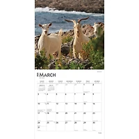 BrownTrout Chèvres 2024 Mur Carré 30.48x60.96 CM, 9781975462871