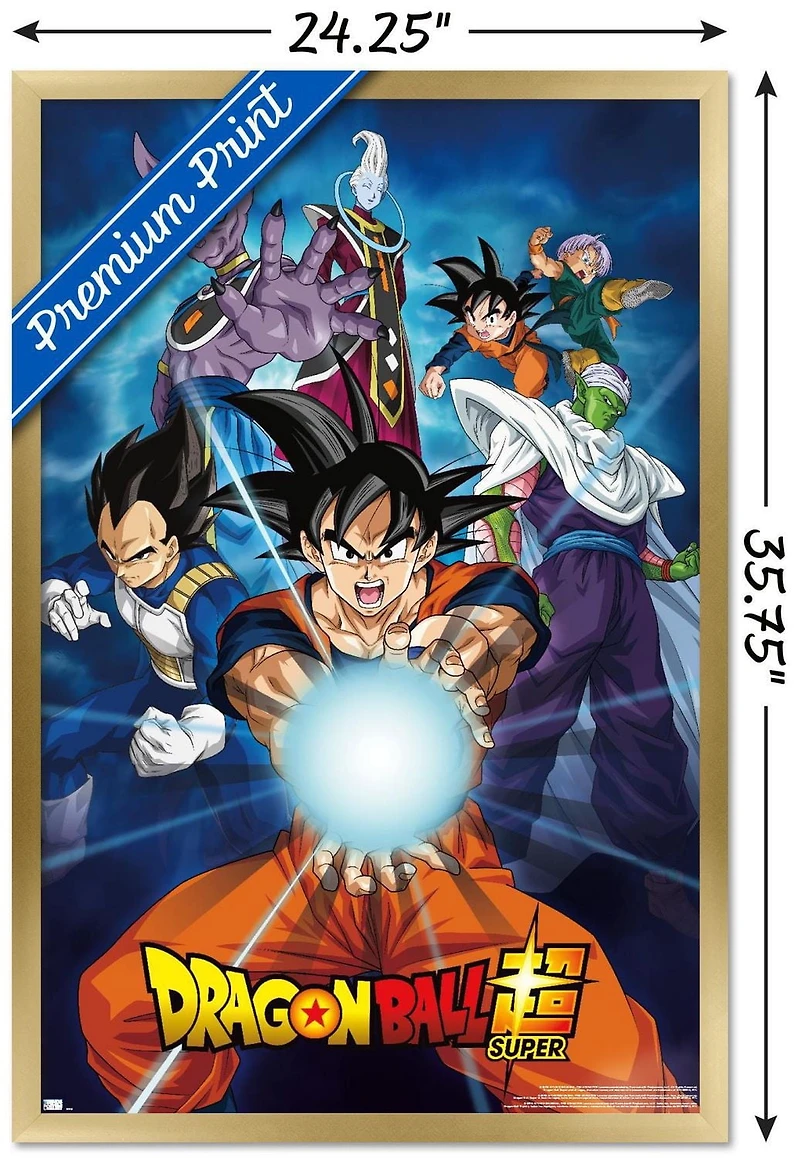 Dragon Ball Super - Groups Wall Poster, 22.375" x 34" Framed