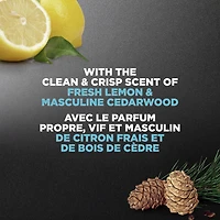 Dove Men Care Clean Comfort Body and Face Wash with 24hr Nourishing Micromoisture Technology