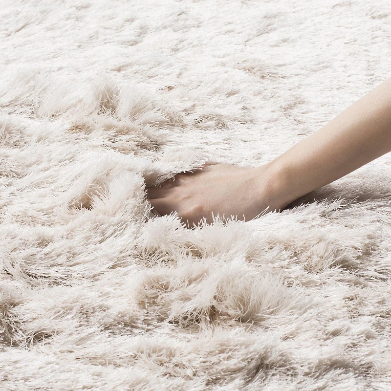Safavieh Paris Darwin Plush Shag Area Rug
