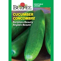 Burpee Burpless Beauty Cucumber