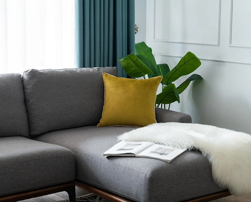 Gouchee Home Solid Velvet Coussin