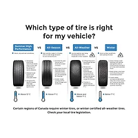 Falken Winterpeak F-Ice 1 215/65R16XL 102T BSW