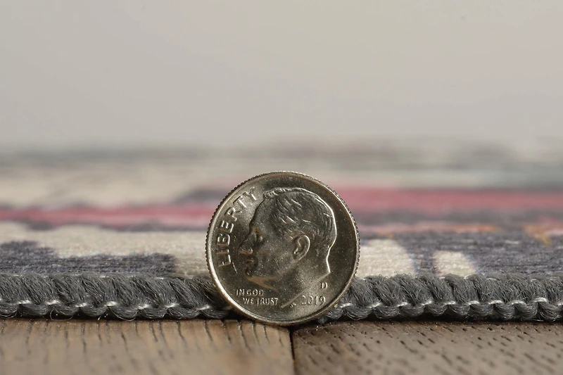 Tapis d'extérieur lavable Grayton ivoire & anthracite 5 pi x7 pi