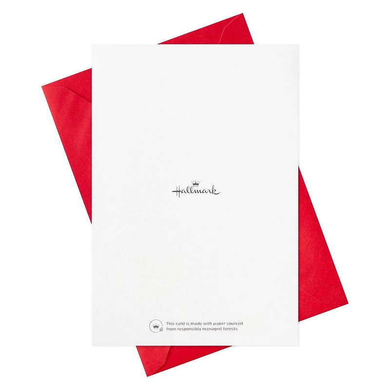 Assortiment de cartes Hallmark de Noël dans une boîte, motifs métallisés classiques (6 motifs, 36 cartes et enveloppes)