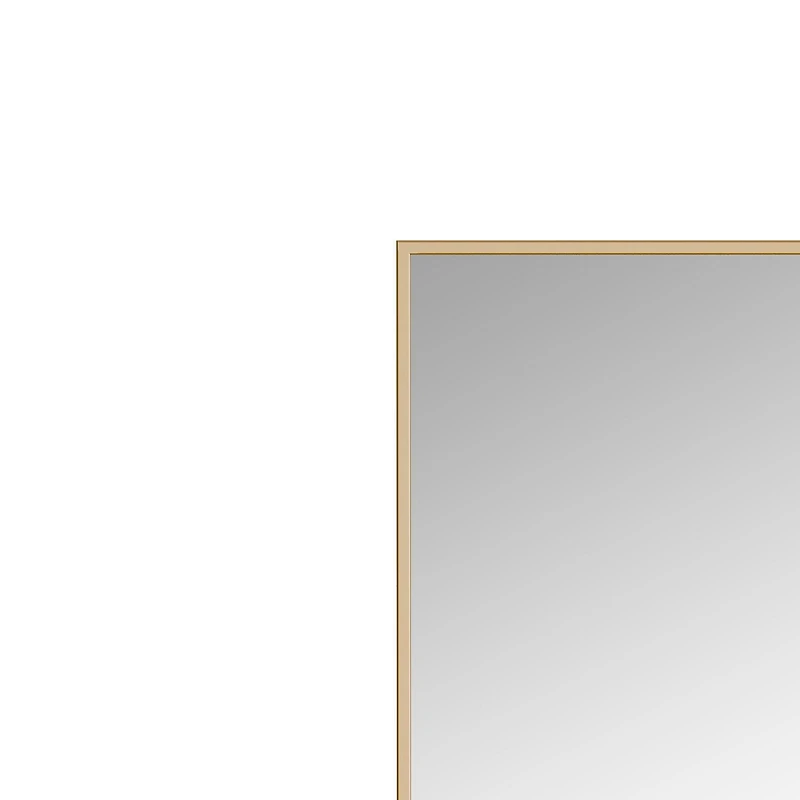 A&E Bath and Shower Tashi Gold 24x32 Bathroom Mirror