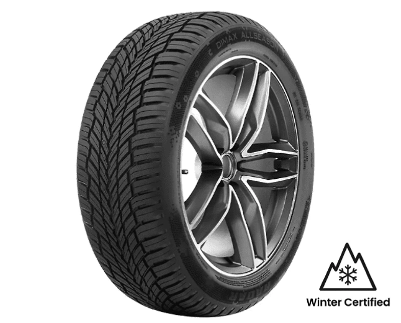 Radar Dimax All Weather (3PMS) tire 205/45R17XL 88W All-Weather Car tire