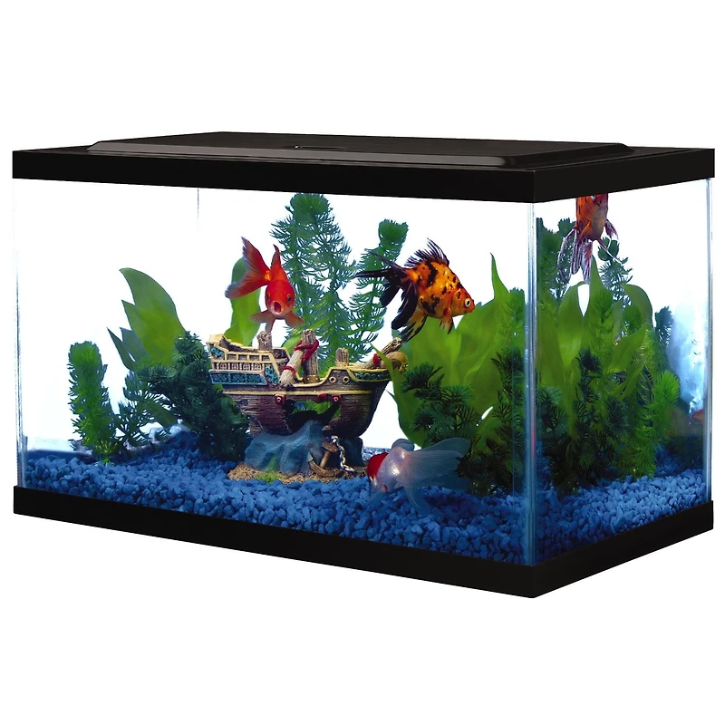 Tetra Complete LED Aquarium Kit 10GL, 10 Gallon (20x10x12)