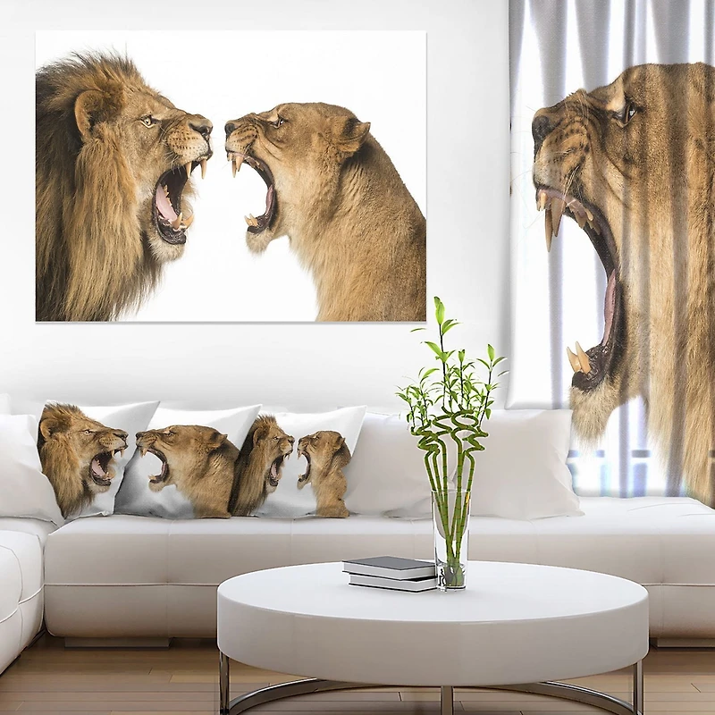 Design Art Lion And Lioness Roaring Canvas Print