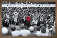 Tiger Woods - L'effet tigre