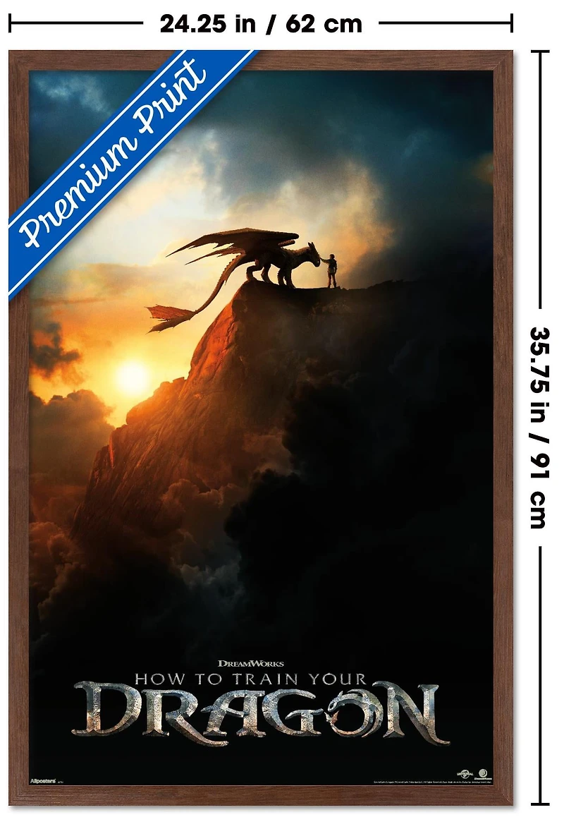 How To Train Your Dragon (2025) - Teaser One Sheet Wall Poster, 22.375" x 34" Framed