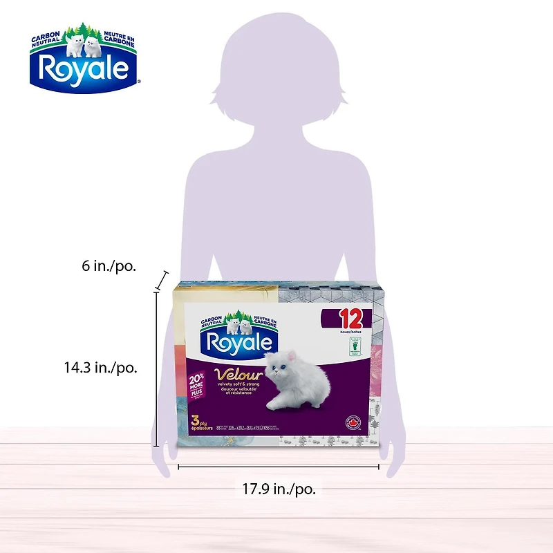 Mouchoirs Royale Velour, 12 boîtes