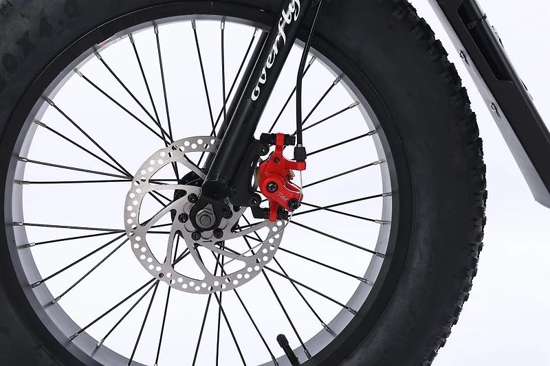 GoTyger 500W 2 Seated 20 in. 4.0 Fat Tire eBike