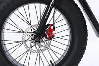 GoTyger 500W 2 Seated 20 in. 4.0 Fat Tire eBike