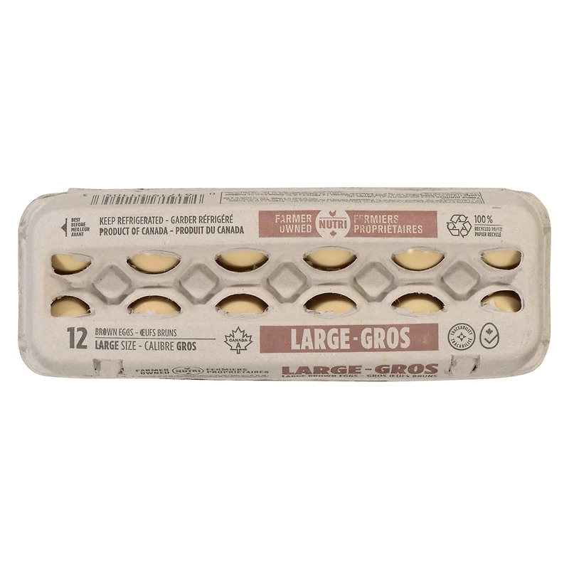 Nutri Large Brown 12 Eggs