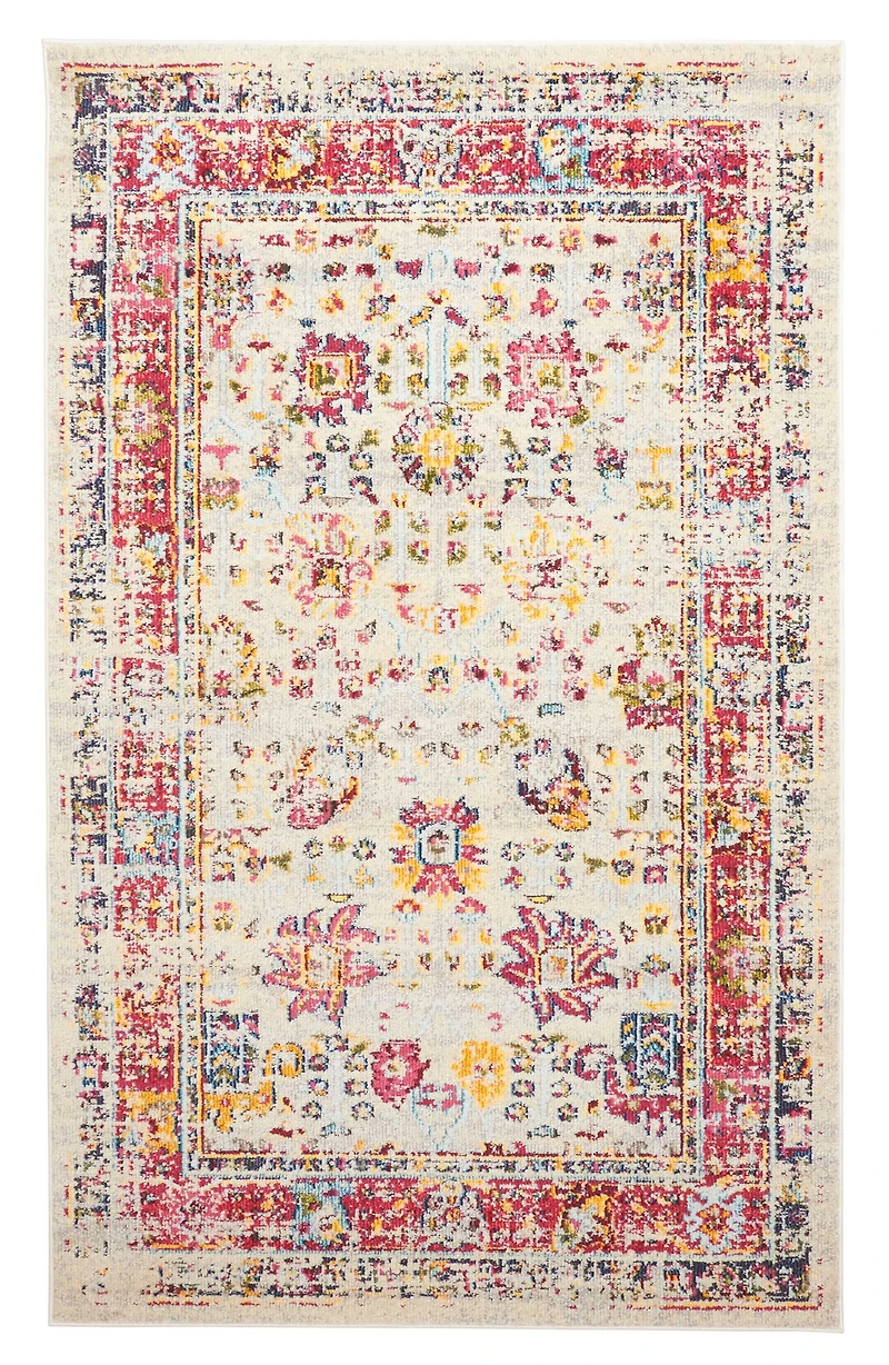 ECARPET Aldora Traditional Area Rug for Living Room, Bedroom, Dining Entrance, Hallway and More