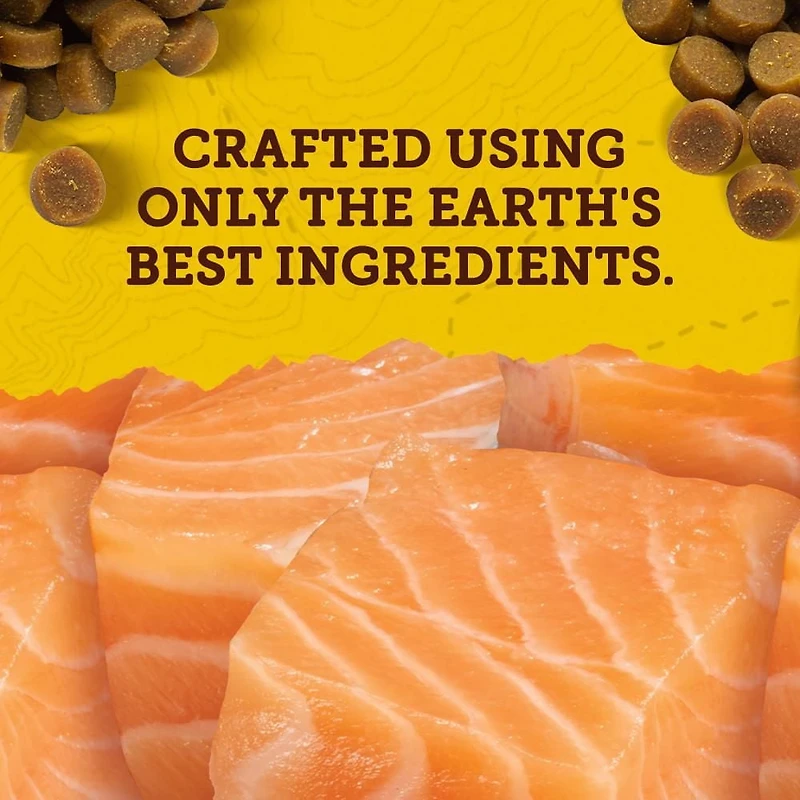 Zuke's Mini Naturals Tender Bites Salmon Recipe, Dog Treats, 170-454 g