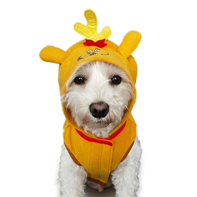 The Grinch Costume à capuche de noël pour animaux de compagnie, vêtements pour animaux de compagnie.