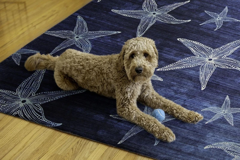 Outdoor Washable Boca Blue 5' x 7' Area Rug