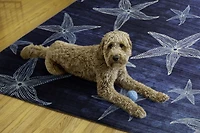 Outdoor Washable Boca Blue 5' x 7' Area Rug