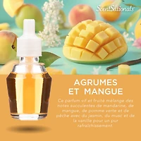 Huile Scent Charm ScentSationals - Citrus Mango 0.8 Fl oz, 24 mL Recharge